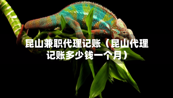 昆山兼職代理記賬（昆山代理記賬多少錢一個(gè)月）