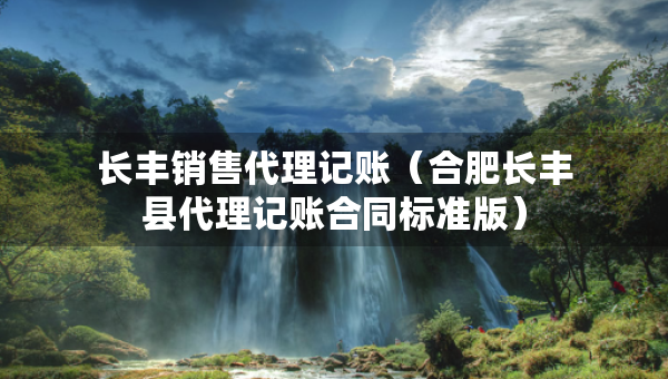 長(zhǎng)豐銷售代理記賬（合肥長(zhǎng)豐縣代理記賬合同標(biāo)準(zhǔn)版）