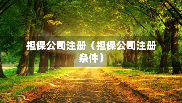 擔保公司注冊（擔保公司注冊條件）