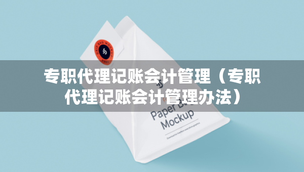 專職代理記賬會計管理（專職代理記賬會計管理辦法）