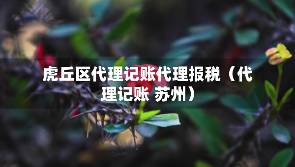 虎丘區(qū)代理記賬代理報(bào)稅（代理記賬 蘇州）