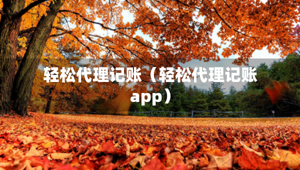 輕松代理記賬（輕松代理記賬app）