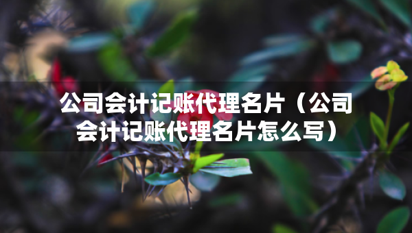 公司會(huì)計(jì)記賬代理名片（公司會(huì)計(jì)記賬代理名片怎么寫）