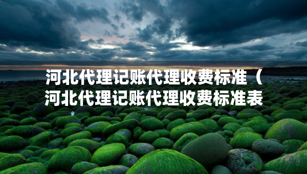 河北代理記賬代理收費標(biāo)準(zhǔn)（河北代理記賬代理收費標(biāo)準(zhǔn)表）