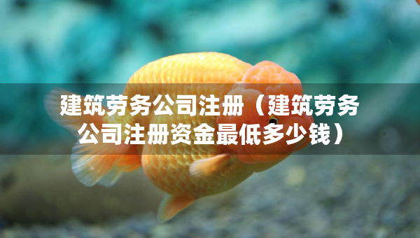 建筑勞務(wù)公司注冊（建筑勞務(wù)公司注冊資金最低多少錢）