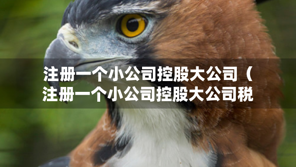 注冊(cè)一個(gè)小公司控股大公司（注冊(cè)一個(gè)小公司控股大公司稅務(wù)怎么辦）