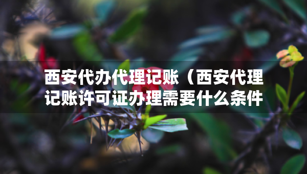 西安代辦代理記賬（西安代理記賬許可證辦理需要什么條件）