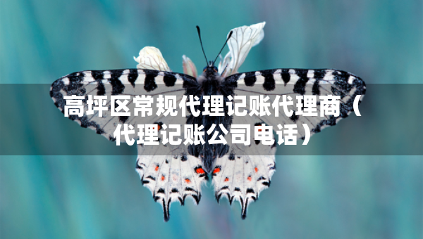 高坪區(qū)常規(guī)代理記賬代理商（代理記賬公司電話）