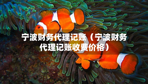 寧波財務(wù)代理記賬（寧波財務(wù)代理記賬收費價格）