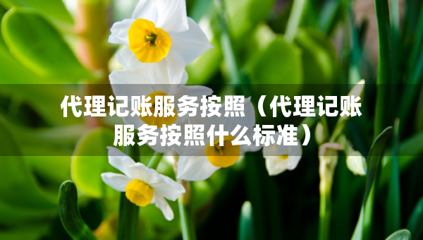 代理記賬服務(wù)按照（代理記賬服務(wù)按照什么標(biāo)準(zhǔn)）