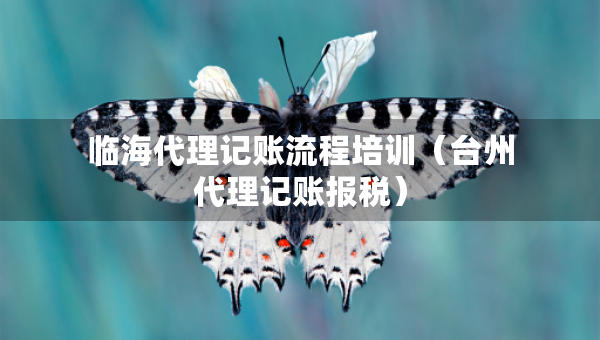 臨海代理記賬流程培訓(xùn)（臺(tái)州代理記賬報(bào)稅）