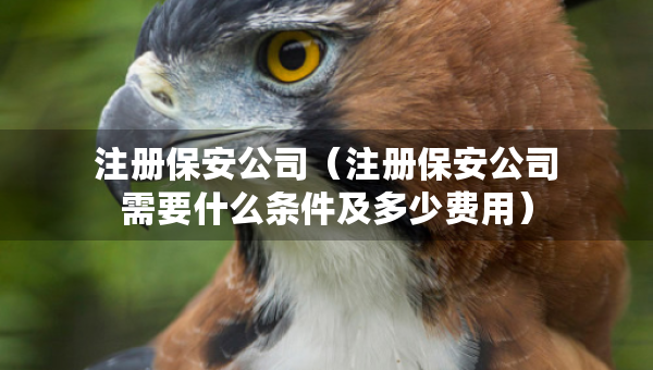 注冊保安公司（注冊保安公司需要什么條件及多少費(fèi)用）