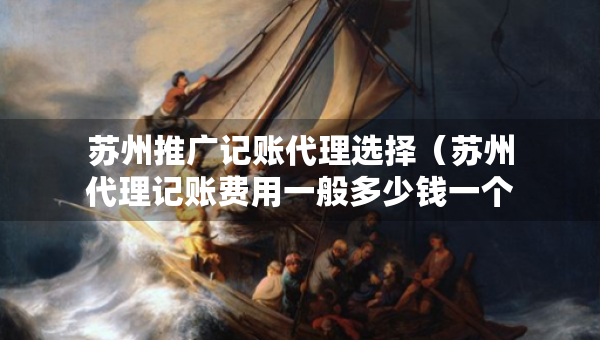 蘇州推廣記賬代理選擇（蘇州代理記賬費(fèi)用一般多少錢(qián)一個(gè)月）