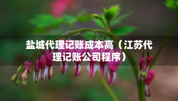 鹽城代理記賬成本高（江蘇代理記賬公司程序）