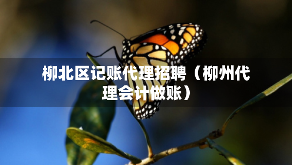 柳北區(qū)記賬代理招聘（柳州代理會計做賬）