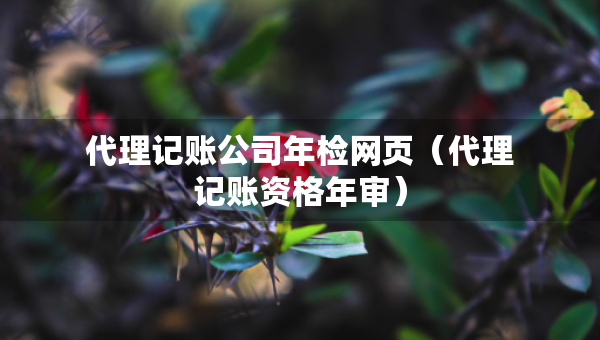 代理記賬公司年檢網頁（代理記賬資格年審）