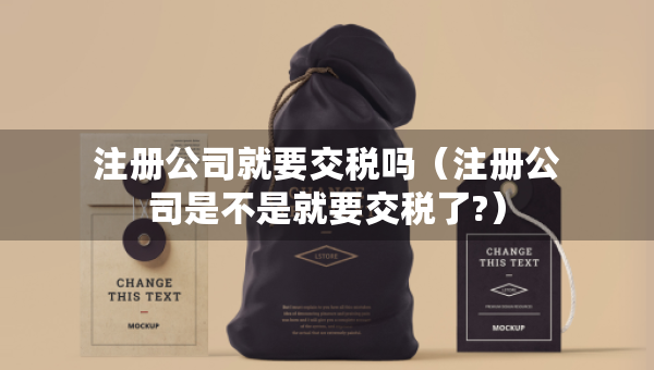 注冊(cè)公司就要交稅嗎（注冊(cè)公司是不是就要交稅了?）