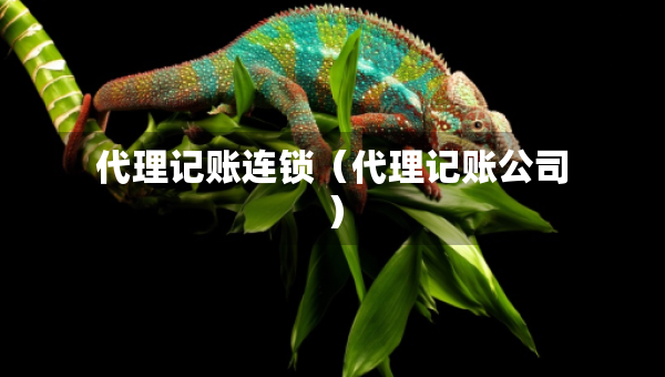 代理記賬連鎖（代理記賬公司）