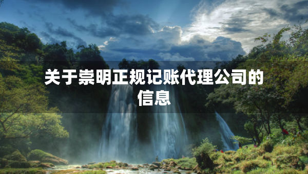 關(guān)于崇明正規(guī)記賬代理公司的信息