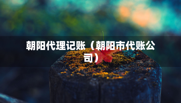 朝陽(yáng)代理記賬（朝陽(yáng)市代賬公司）