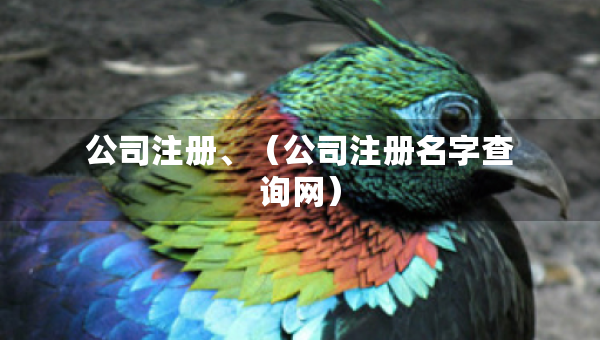 公司注冊(cè)、（公司注冊(cè)名字查詢網(wǎng)）
