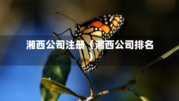 湘西公司注冊（湘西公司排名）