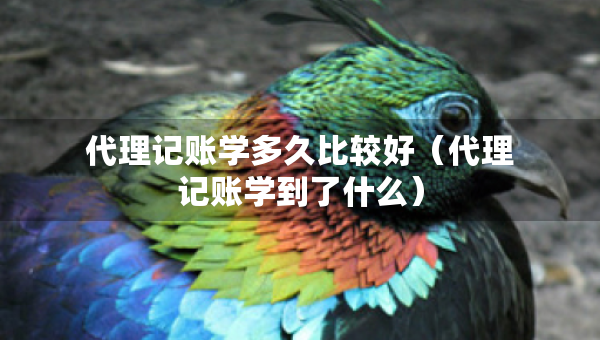 代理記賬學(xué)多久比較好（代理記賬學(xué)到了什么）