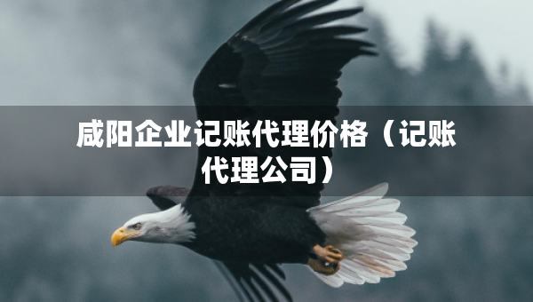 咸陽(yáng)企業(yè)記賬代理價(jià)格（記賬代理公司）