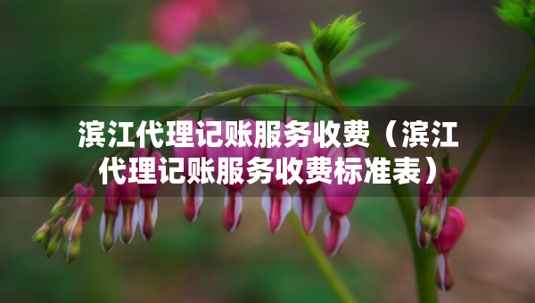 濱江代理記賬服務收費（濱江代理記賬服務收費標準表）