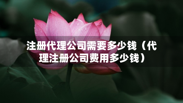 注冊代理公司需要多少錢（代理注冊公司費(fèi)用多少錢）
