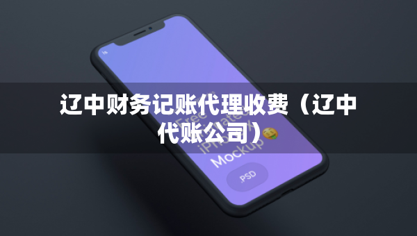 遼中財(cái)務(wù)記賬代理收費(fèi)（遼中代賬公司）