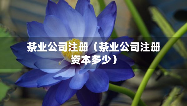 茶業(yè)公司注冊（茶業(yè)公司注冊資本多少）