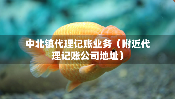 中北鎮(zhèn)代理記賬業(yè)務(wù)（附近代理記賬公司地址）