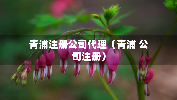 青浦注冊(cè)公司代理（青浦 公司注冊(cè)）