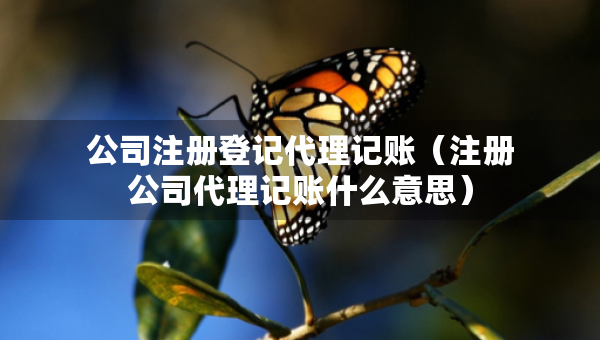 公司注冊登記代理記賬（注冊公司代理記賬什么意思）