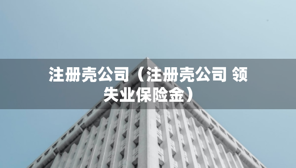注冊(cè)殼公司（注冊(cè)殼公司 領(lǐng)失業(yè)保險(xiǎn)金）