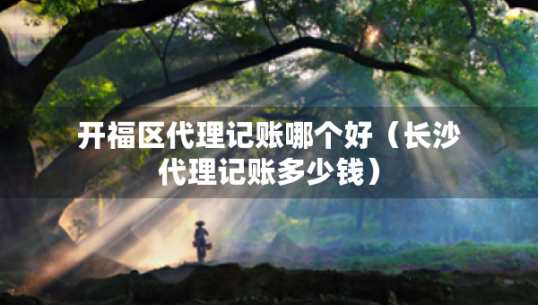 開福區(qū)代理記賬哪個好（長沙代理記賬多少錢）