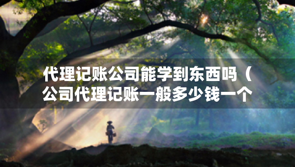 代理記賬公司能學(xué)到東西嗎（公司代理記賬一般多少錢一個月）