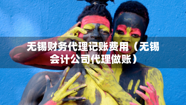 無錫財務(wù)代理記賬費(fèi)用（無錫會計(jì)公司代理做賬）