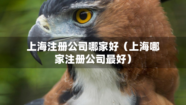 上海注冊公司哪家好（上海哪家注冊公司最好）