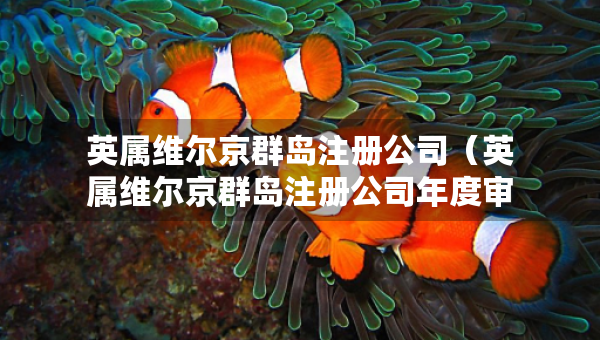 英屬維爾京群島注冊公司（英屬維爾京群島注冊公司年度審計）
