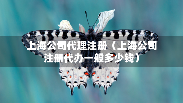 上海公司代理注冊（上海公司注冊代辦一般多少錢）
