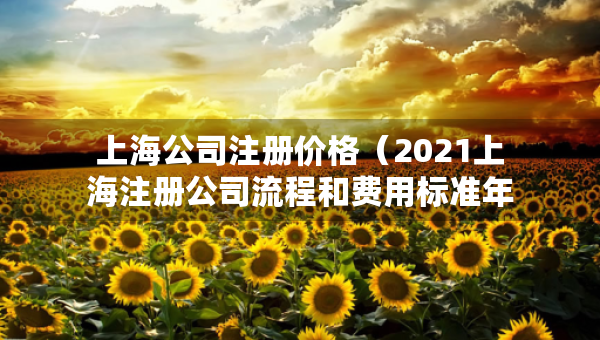 上海公司注冊(cè)價(jià)格（2021上海注冊(cè)公司流程和費(fèi)用標(biāo)準(zhǔn)年）