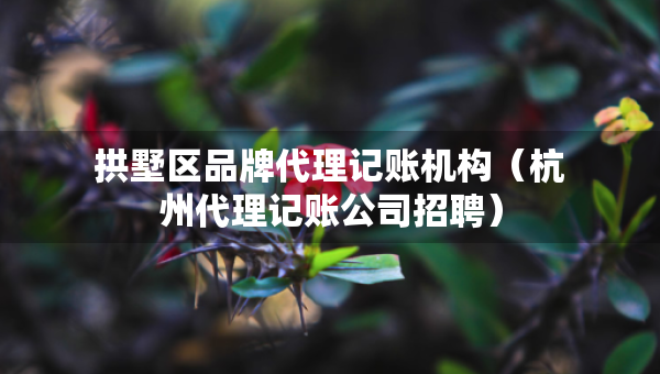 拱墅區(qū)品牌代理記賬機(jī)構(gòu)（杭州代理記賬公司招聘）