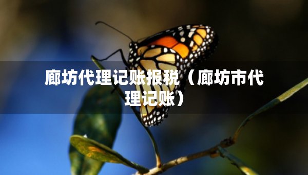 廊坊代理記賬報(bào)稅（廊坊市代理記賬）