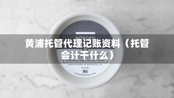 黃浦托管代理記賬資料（托管會(huì)計(jì)干什么）