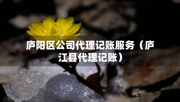 廬陽(yáng)區(qū)公司代理記賬服務(wù)（廬江縣代理記賬）