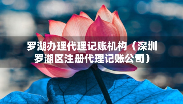 羅湖辦理代理記賬機(jī)構(gòu)（深圳羅湖區(qū)注冊(cè)代理記賬公司）