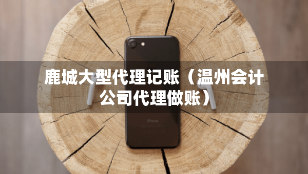 鹿城大型代理記賬（溫州會(huì)計(jì)公司代理做賬）