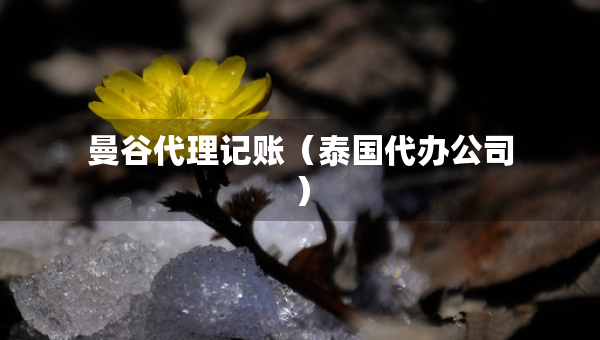 曼谷代理記賬（泰國代辦公司）